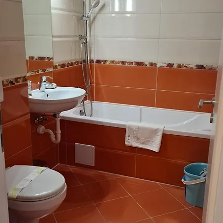 Brasov Holiday Apartments Braşov Room photo