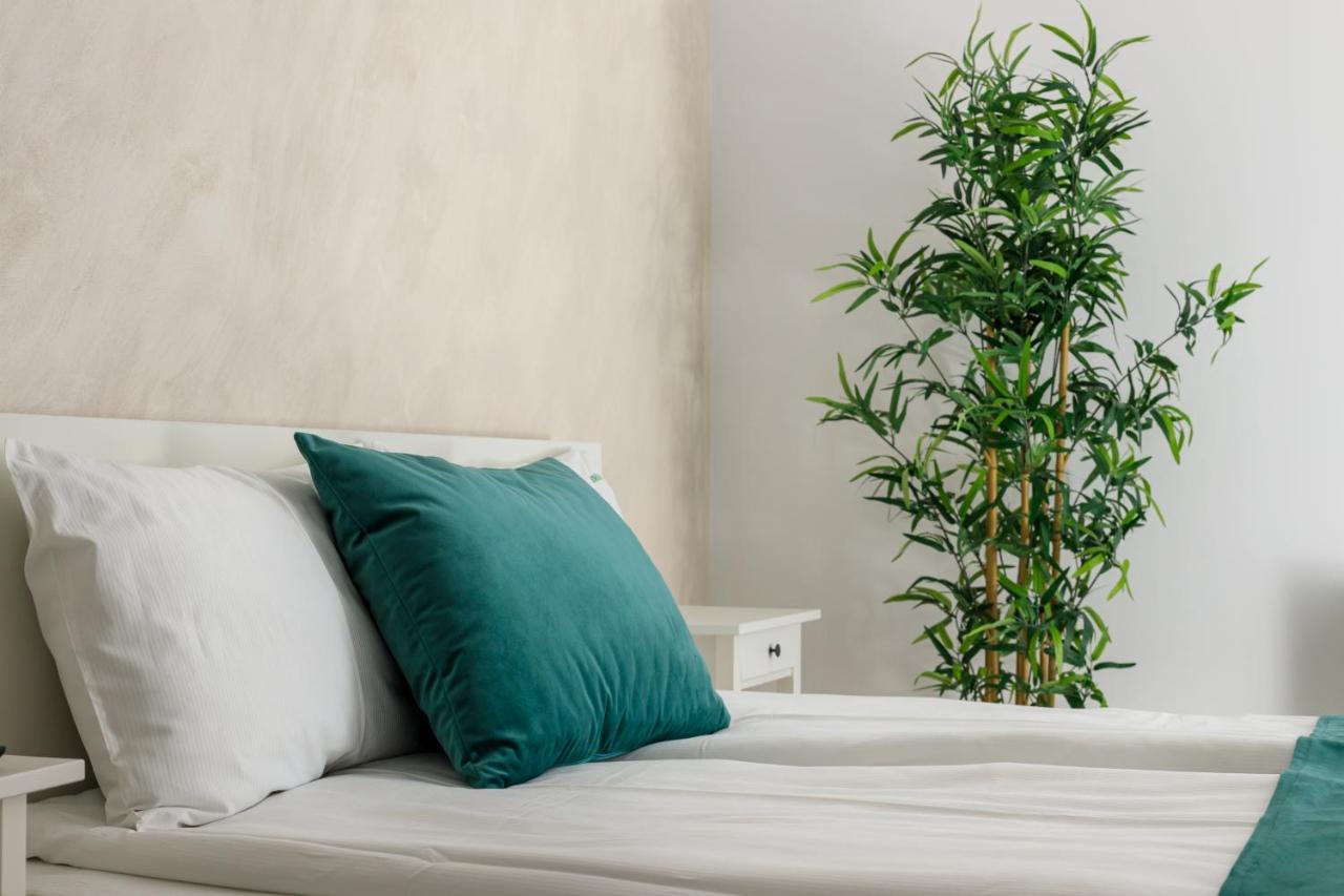 公寓 Brasov Holiday Apartments Braşov