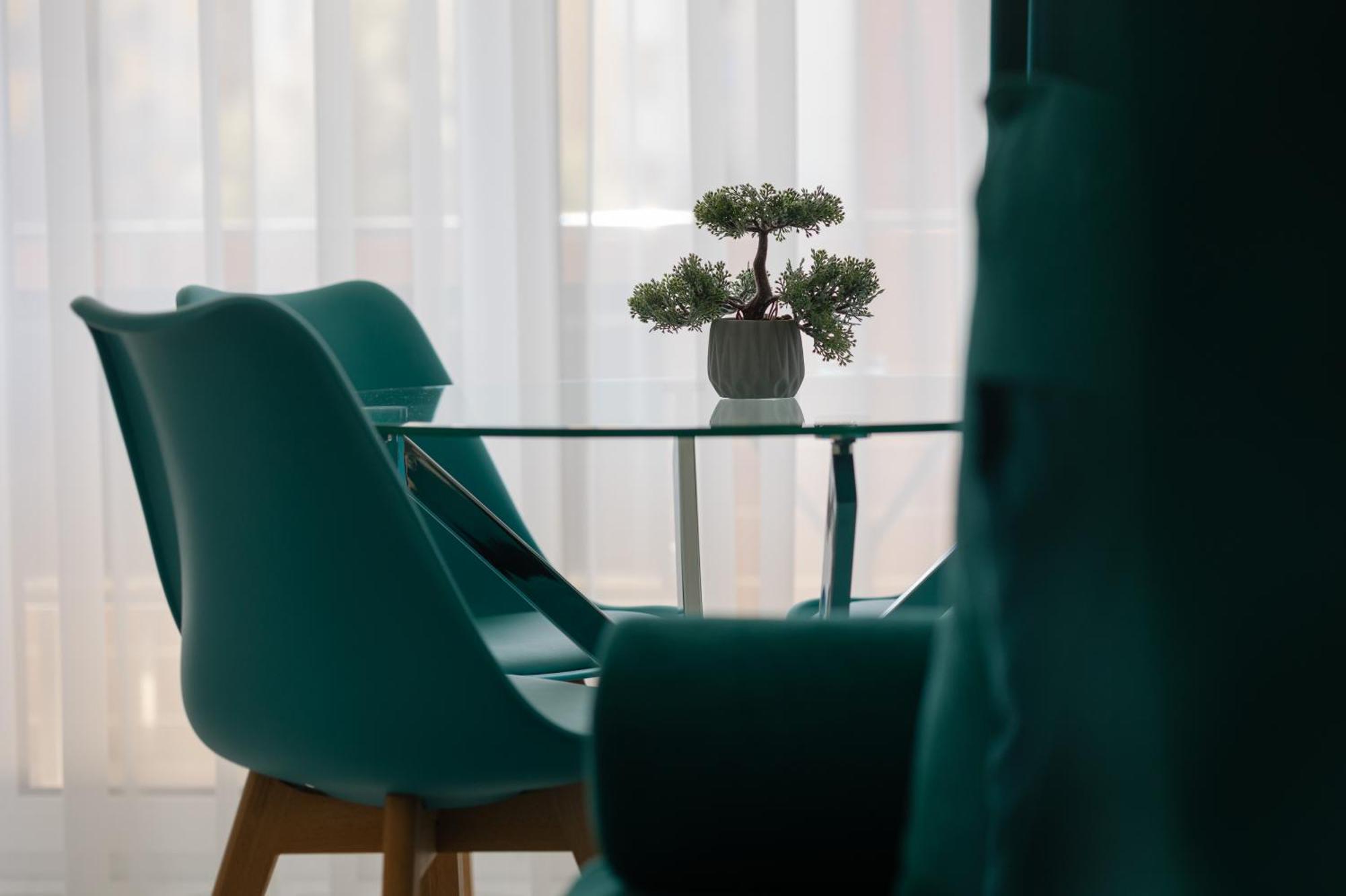 公寓 Brasov Holiday Apartments Braşov